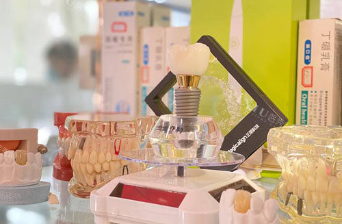 黄冈爱雅口腔牙齿模型展示