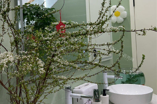 郑州青松口腔洗漱区环境图