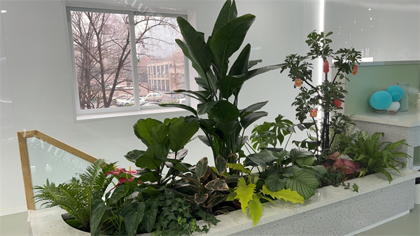 郑州青松口腔环境图