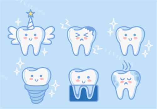 牙齿的各个形态图