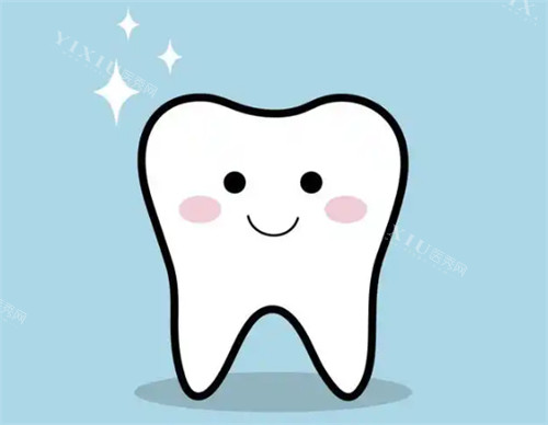 牙齿模拟图