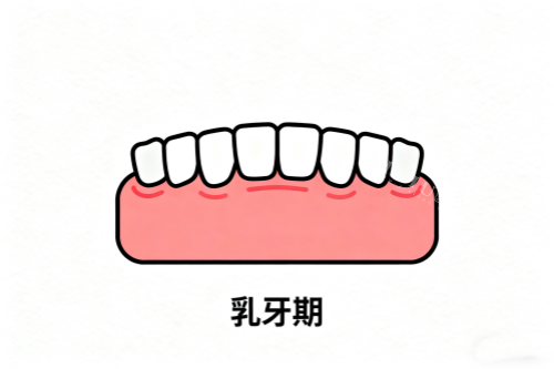 儿童乳牙卡通图