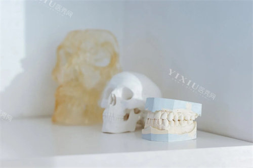 牙齿材料展示