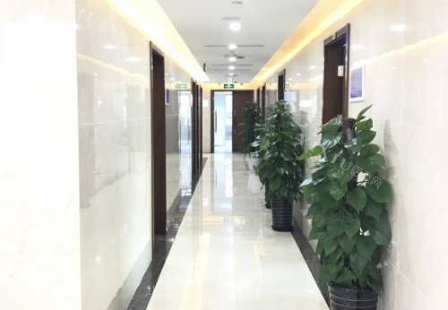 上海科瓦口腔走廊示意图