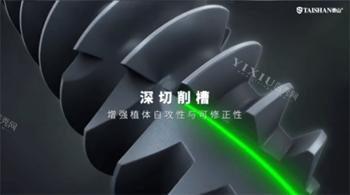 泰山种植牙种植体特色