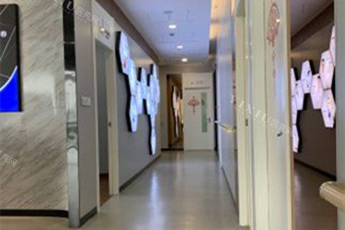 上海鼎植口腔九福分院内部过道环境示意图