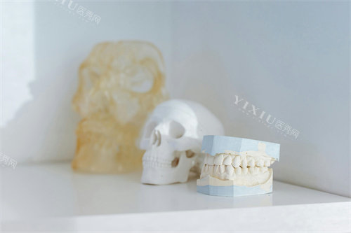 医用牙齿模型宣传图