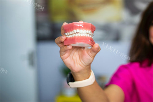 做好的牙齿模型图片