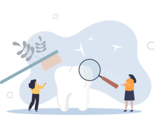 牙齿清洁示意图