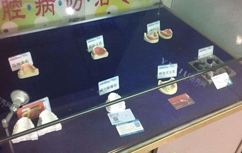 重庆雅博尔口腔牙齿模型展示
