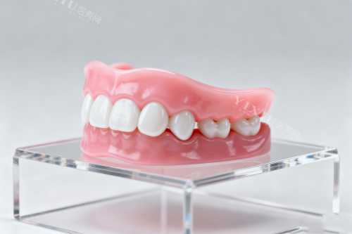 假牙模型一览图